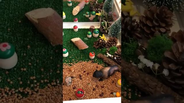 СЕНСОРНАЯ КОРОБОЧКА “РОДНОЙ ЛЕС” В ДОМАШНЕЙ ПЕСОЧНИЦЕ MYPLAYROOM