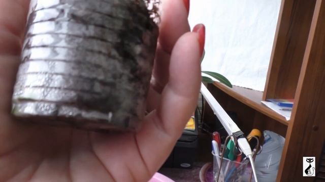 Как размножить фикус черенкованием смотреть онлайн