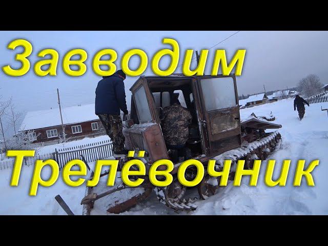 Заводим трактор Трелёвочник ТДТ-55. Пришло время для лесозаготовки. Жизнь в провинции.