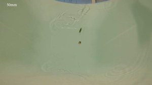 Сравним копии DUO Spearhead Ryuki с AliExpress | Обзор + игра + мнение