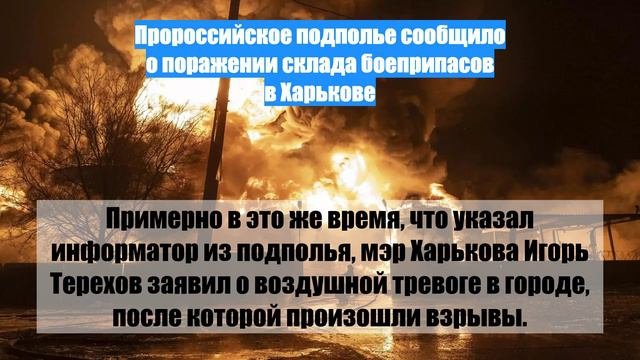 Подполье сообщило. Подполье сообщило