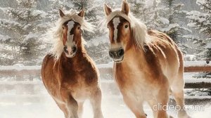 🐴 - Бегущие лошади. running horses. #мелодиядлясна #звукидлясна #длясна #soundsforsleep