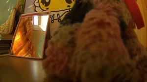 Обзор прицепа matkaaja 8000