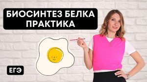 Биосинтез белка. Практика