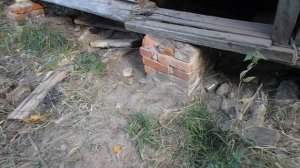 Осенние грибы рыжики.Заброшенные дома в Брянской области Дом в глуши..Рыбалка на лесном озере/gribi