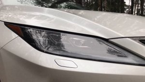 Акула-альбинос. Обновлённый Lexus RX: обзор 2020 г.