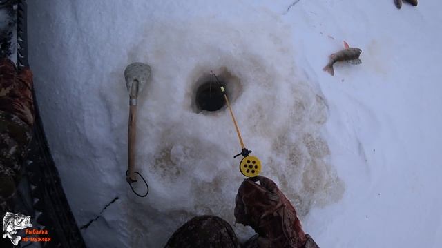 20 мин ОТЛИЧНОГО КЛЁВА/ОКУНЬ/ЩУКА/РЫБАЛКА В ГЛУХОЗИМЬЕ/Fishing for men