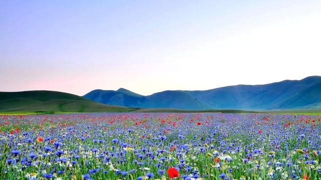 Как подарить детям счастье и удачу? Техника "Пространство любви". Школа доброго волшебника. Урок 4 смотреть онлайн