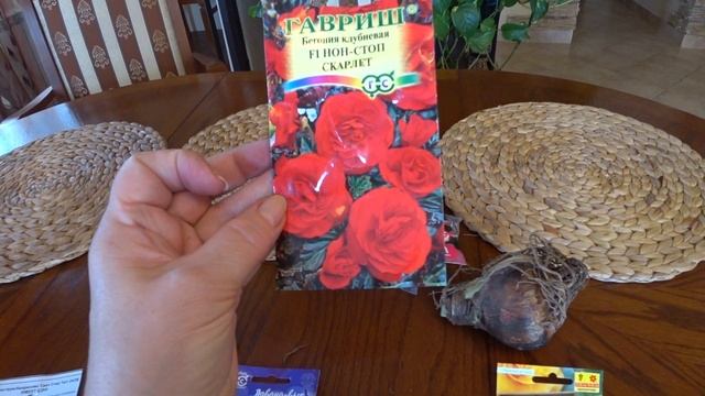 Семена комнатных Цветов. Гиппеаструм СВИТ СТАР. Обзор. смотреть онлайн