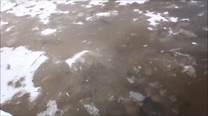 Замор на Оби в Сургуте 2