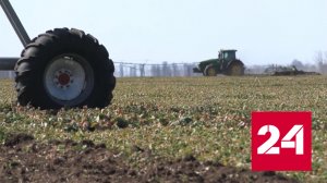 Достижения Херсонской области представят на выставке "Россия" - Россия 24