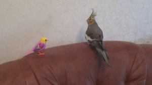 ПОЮТ ВМЕСТЕ! Попугай Корелла и Интерактивная Поющая Птичка Игрушка DigiBirds