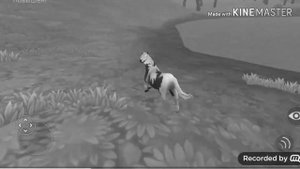 Страшилка "не играй в WildCraft в 0:00 часа ночи!!"