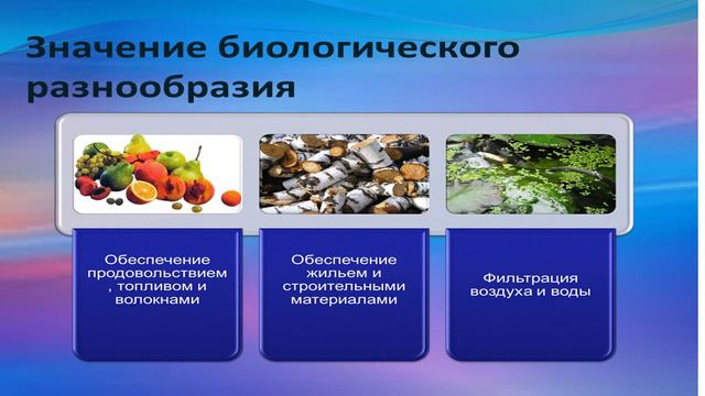 Неделя географии - 2019. 11 B смотреть онлайн