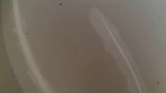 Заделка стыков в гипсокартоне как 1 2 3 смотреть онлайн