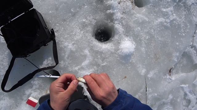 подклюнуло /Рыбалка по последнему льду / подводноя видеосьемка / рыбалка 2023 / смотреть онлайн