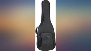 Reunion Blues RBCA2 RB Continental Voyager Dreadnought Acoustic Guitar Case review