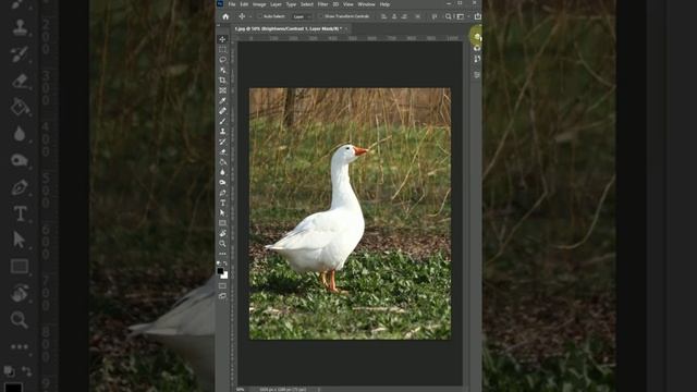 Как спасти засвеченное фото в Фотошопе