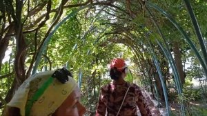 Как мы отдыхали в Абхазии, поездка в Гагры (Гагру ?),поиски гостиницы...