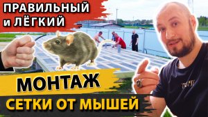 Монтаж сетки от грызунов. Самый простой и правильный способ.