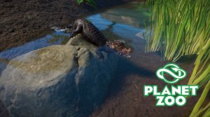 Planet Zoo S2 E22 - Вольер для гладколобых кайманов