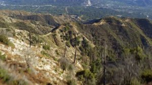 Roger Shah & RAM feat. Natalie Gioia - For The One You Love ( Lyric Video)