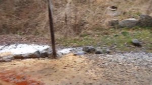 Минеральный источник ,,Багиата,, Южная Осетия.