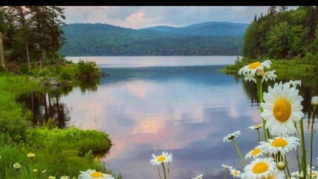Ченнелинг-Послание от Творца для вас 💛