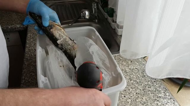 Чистим рыбу шуруповёртом на кухне, чешуя не летит и кухня чистая!!! смотреть онлайн