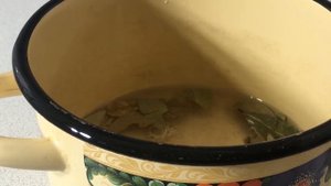 Народный рецепт для укрепления иммунитета. Вкусный отвар из лаврового листа с медом