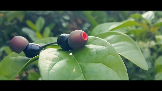 JBL T110 Pure Bass Earphone Review : Best budget earphone. смотреть онлайн