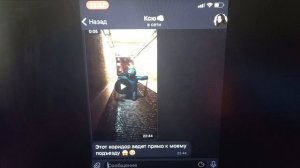 Радужные Друзья хотят меня схватить и их не остановить - Реакция !