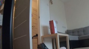ТЫ какой ОРИЕНТАЦИИ? Хроники Измен с Григорием Кулагиным 36 стилистка в изоляции проверка на измену