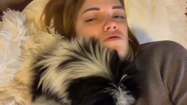 Собака-бесяка. Японский хин щенок смотреть онлайн