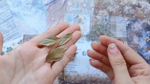 Египетская сила