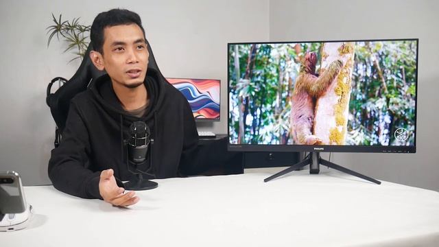 Philips 272M8 Review, 144hz 'jumbo' 3jutaan! смотреть онлайн