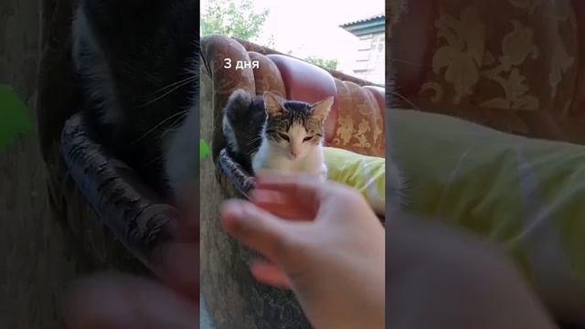 Воспоминание?