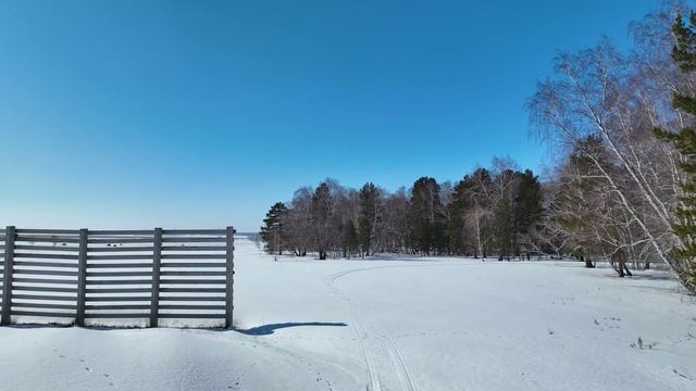 Алтынды (Красный горняк) - Зима - Лошади