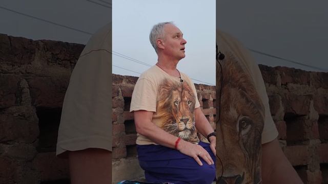 Что такое Варны или классификация каст.