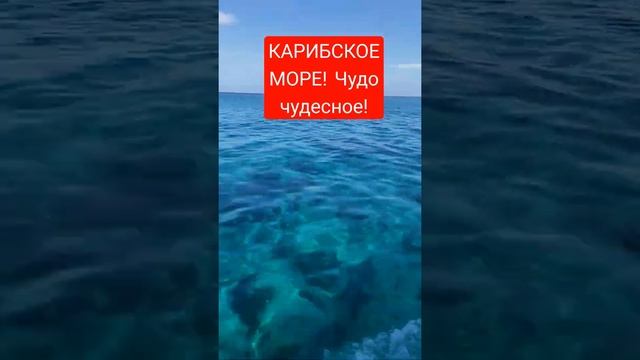 Карибское море. Вода-просто бомба! Самое тёплое море в мире!