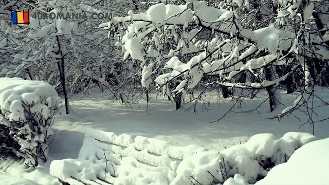 Peisaje de iarna Romania - Pe un drum departe - Muzica de iarna смотреть онлайн