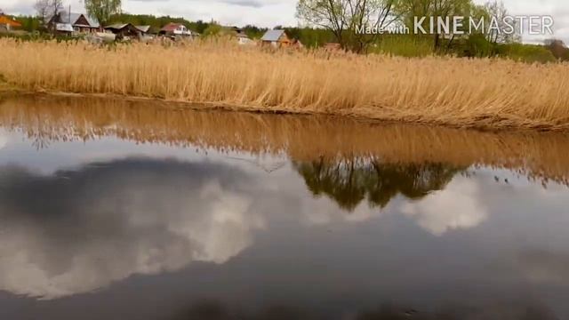 Ловля ЩУКИ на ЖИВЦА. Рыбалка на РУЧЕЙНИКА(ВОДЯНЧИКА)