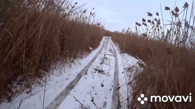 Осторожно-маты! СКАЗКА(про волка, шакала и лису!)обычный охотничий день,уберите детей от экрана смотреть онлайн