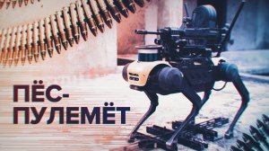 В Китае презентовали первую собаку-робота с пулемётом — видео