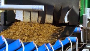 Производство шампиньонов - компания Агрогриб