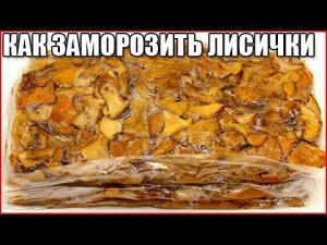 Как правильно заморозить лисички на зиму, чтобы не горчили