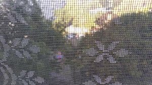 ЗАПОРОЖЬЕ  БАБАХАЛО ЖУТКИЕ ПОСЛЕДСТВИЯ 18.10.23