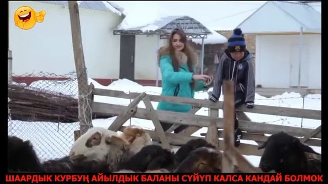 Айылдык Келин Алёнка