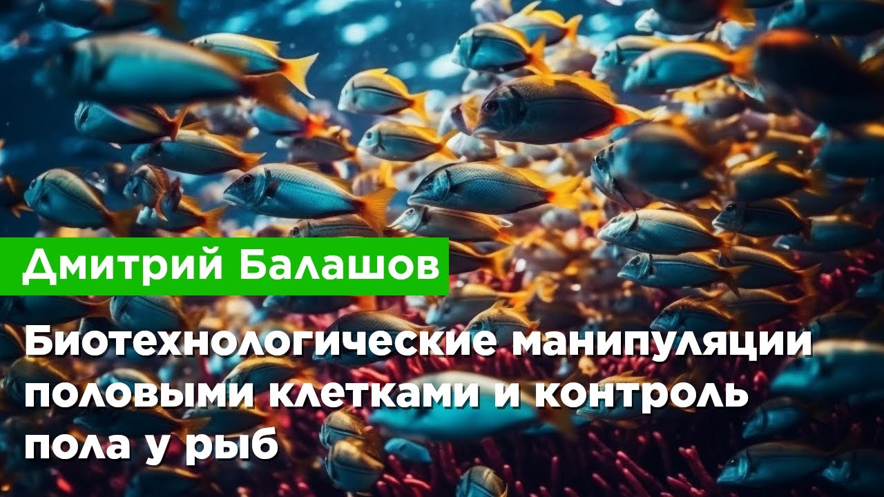 Дмитрий Балашов — Биотехнологические манипуляции половыми клетками и контроль пола у рыб