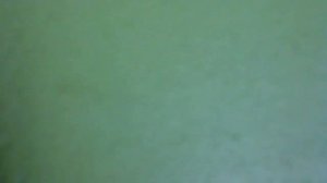 Видео с веб-камеры. Дата: 1 апреля 2013 г., 16:36.